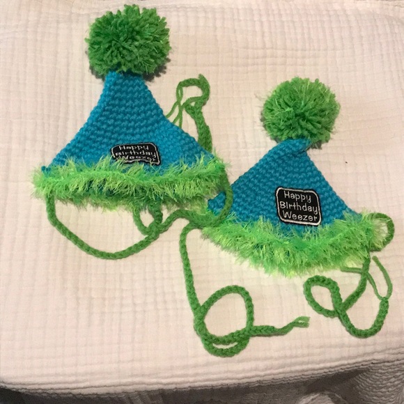 Hapy birthday Weezer party hat Rivers Cuomo cruise - Picture 1 of 3